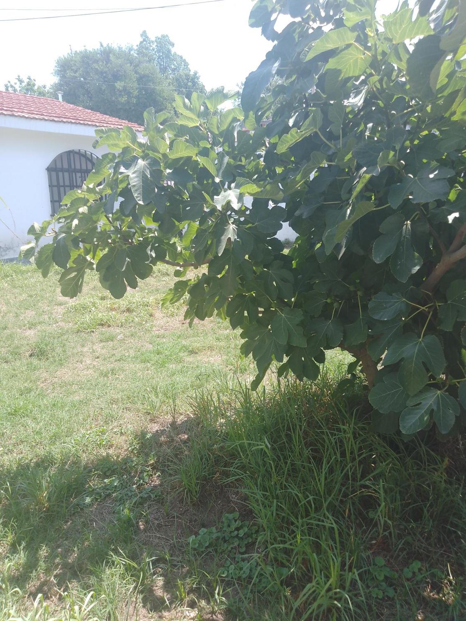 Hostel Alto Alberdi Κόρδοβα Εξωτερικό φωτογραφία